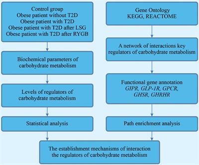 The Links of Ghrelin to Incretins, Insulin, Glucagon, and Leptin After Bariatric Surgery